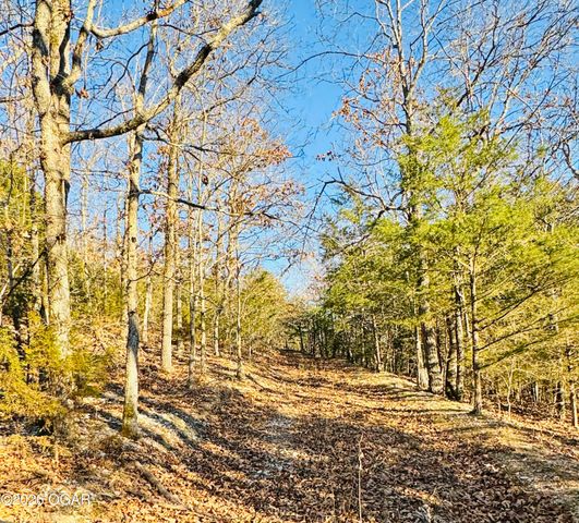 795 Anthony Road, Pineville, MO 64856