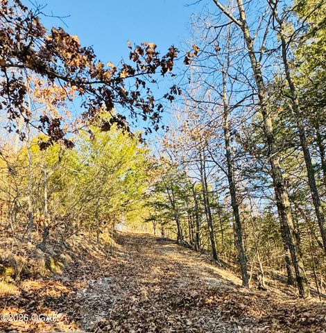 795 Anthony Road, Pineville, MO 64856