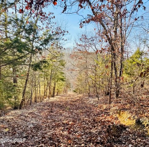 795 Anthony Road, Pineville, MO 64856