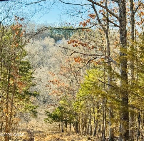 795 Anthony Road, Pineville, MO 64856