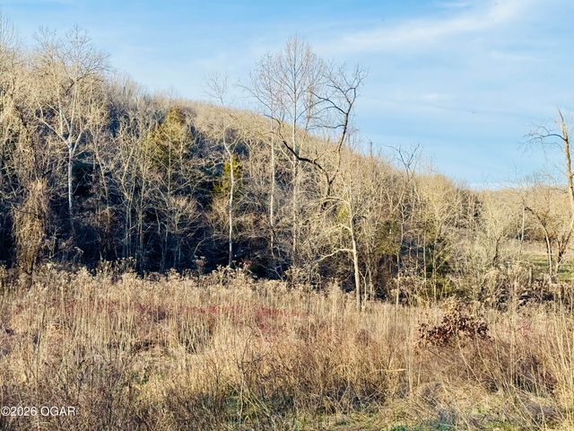 795 Anthony Road, Pineville, MO 64856