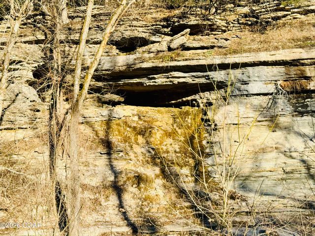 795 Anthony Road, Pineville, MO 64856