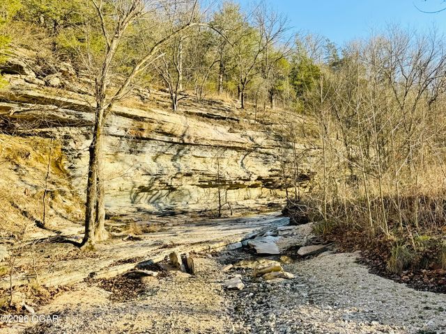 795 Anthony Road, Pineville, MO 64856