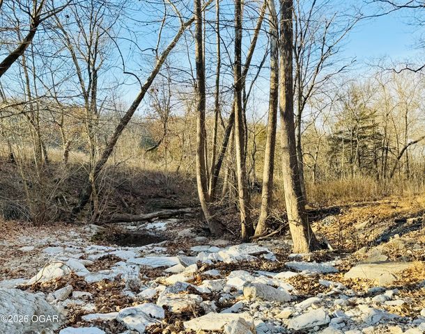 795 Anthony Road, Pineville, MO 64856