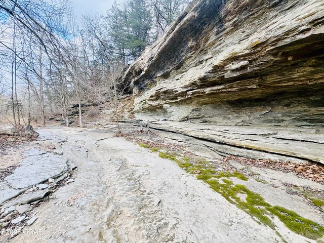 795 Anthony Road, Pineville, MO 64856