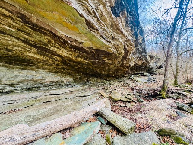 795 Anthony Road, Pineville, MO 64856