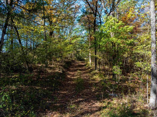 3211 AR 56, Evening Shade, AR 72532