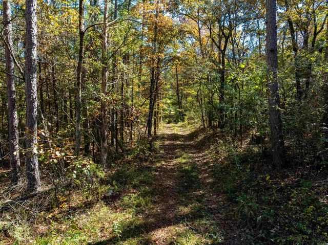 3211 AR 56, Evening Shade, AR 72532