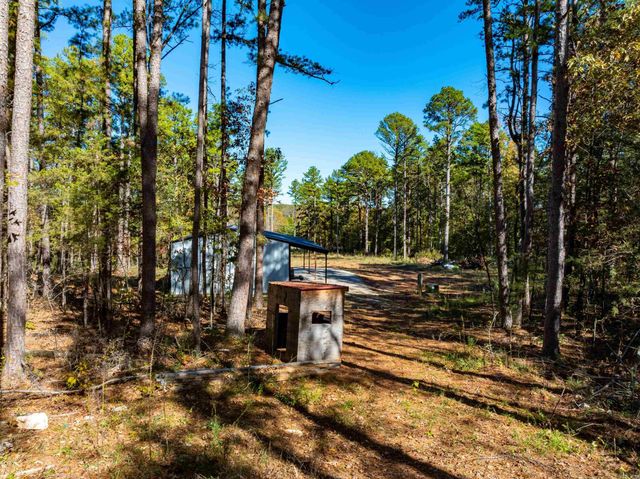 3211 AR 56, Evening Shade, AR 72532