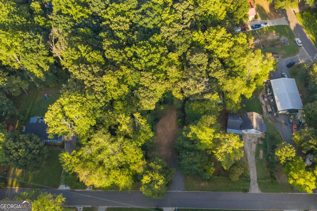 110 Little Brook Drive, Woodstock, GA 30188 — photo 3