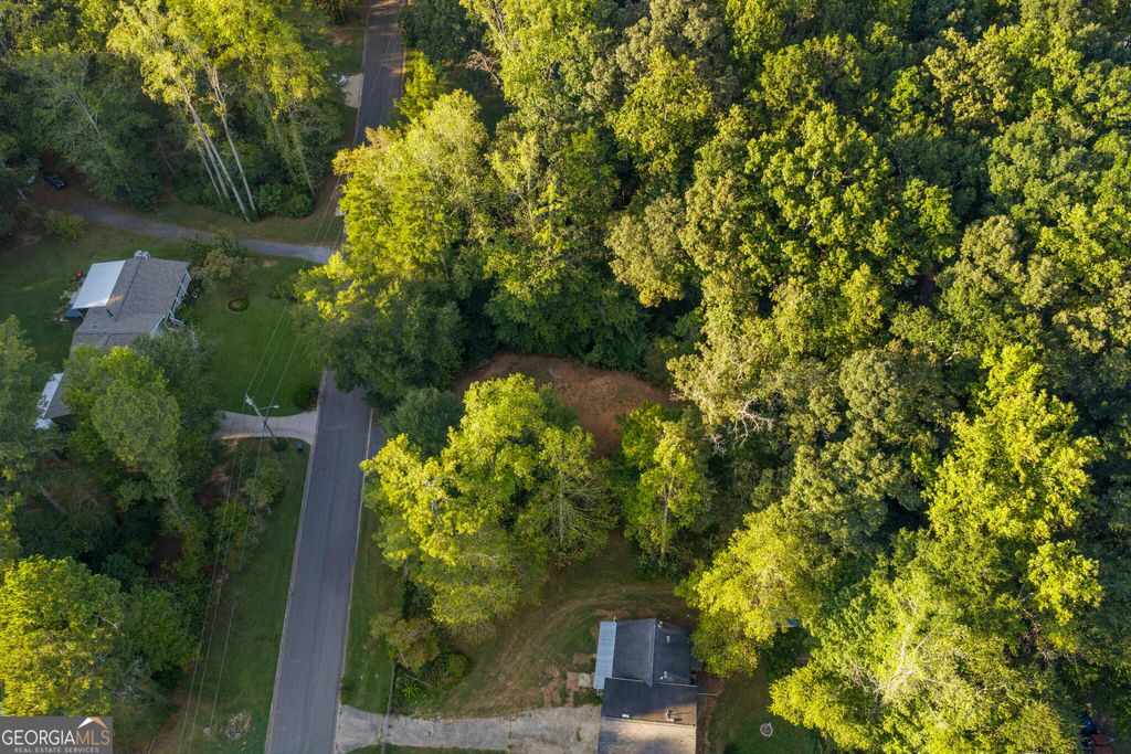 110 Little Brook Drive, Woodstock, GA 30188 — photo 4