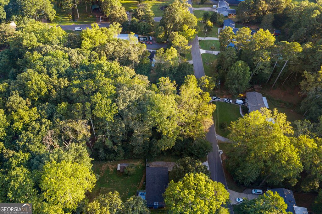 110 Little Brook Drive, Woodstock, GA 30188 — photo 5