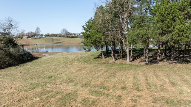 0 Three Forks Bridge Rd, Wartrace, TN 37183