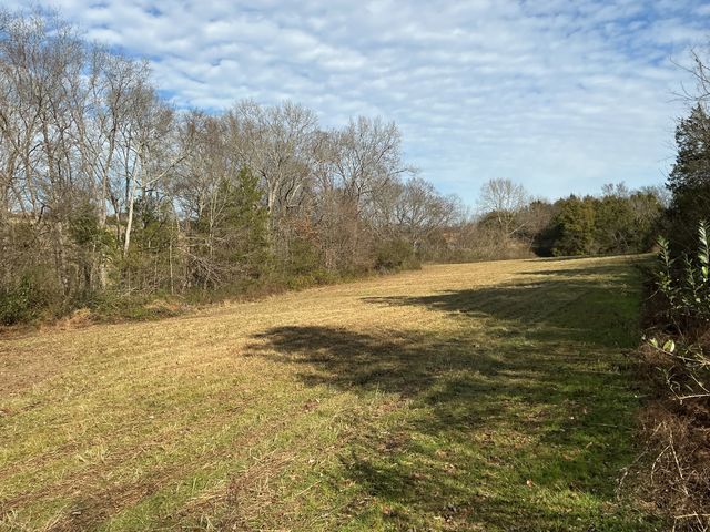 0 Three Forks Bridge Rd, Wartrace, TN 37183