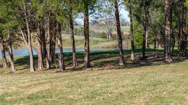 0 Three Forks Bridge Rd, Wartrace, TN 37183