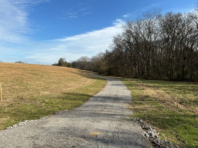 0 Three Forks Bridge Rd, Wartrace, TN 37183