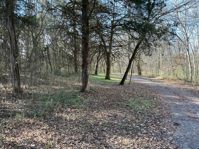 0 Three Forks Bridge Rd, Wartrace, TN 37183