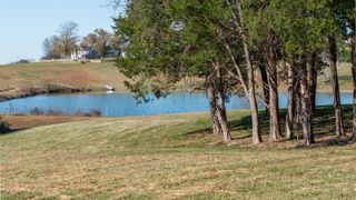 0 Three Forks Bridge Rd, Wartrace, TN 37183