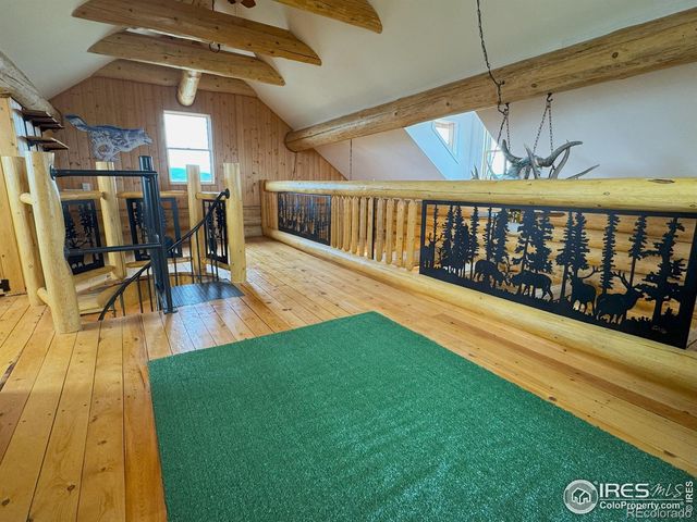 1675 Hewlett Gulch Road, Livermore, CO 80536