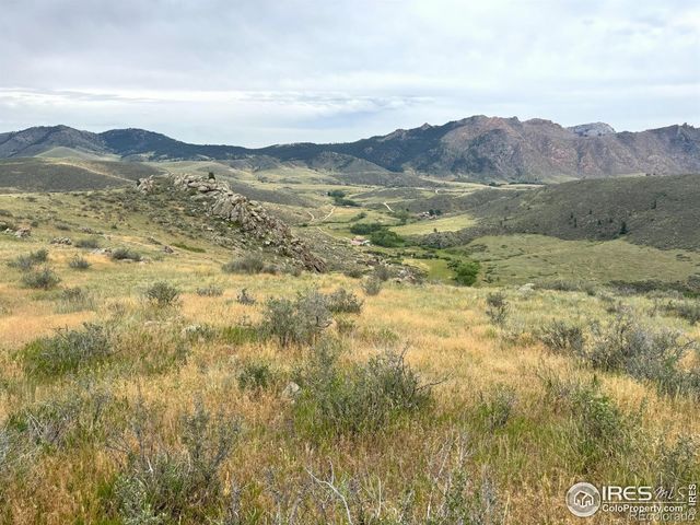 1675 Hewlett Gulch Road, Livermore, CO 80536