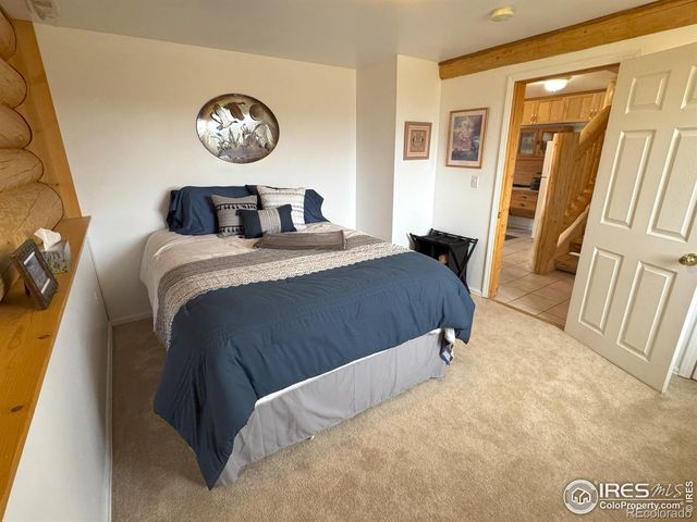 1675 Hewlett Gulch Road, Livermore, CO 80536