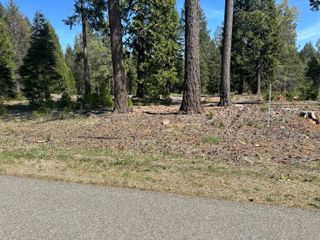 Lot 9 Princess Pine Place, Shingletown, CA 96088