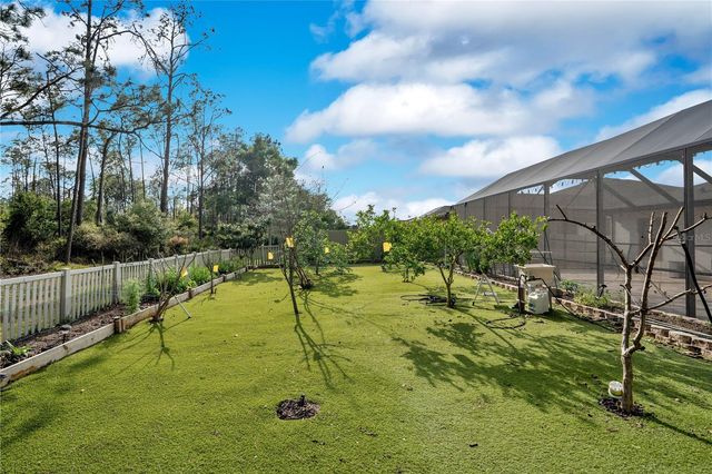 21914 BUTTERFLY KISS DRIVE, Land O Lakes, FL 34637