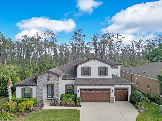 21914 BUTTERFLY KISS DRIVE, Land O Lakes, FL 34637