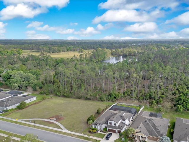 21914 BUTTERFLY KISS DRIVE, Land O Lakes, FL 34637