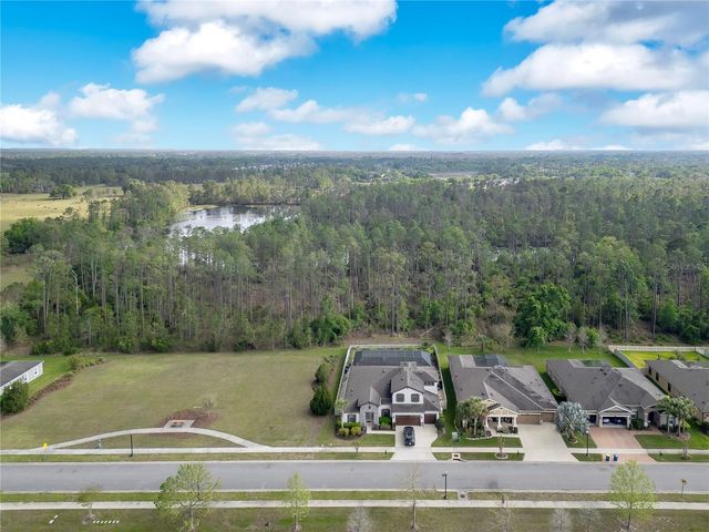 21914 BUTTERFLY KISS DRIVE, Land O Lakes, FL 34637
