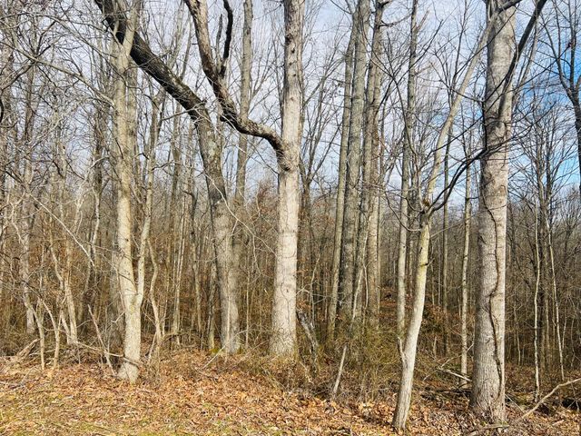 270 Jericho Road, Russell Springs, KY 42642