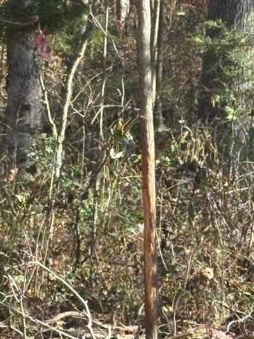 270 Jericho Road, Russell Springs, KY 42642