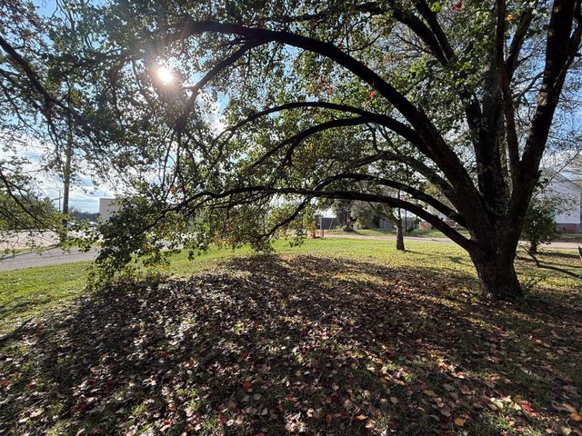 100 Smith Street, Naples, TX 75568