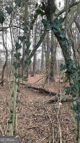 3552 Thompson Mill Road, Buford, GA 30519