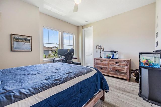 3303 MONROE MEADOWS DRIVE, Odessa, FL 33556