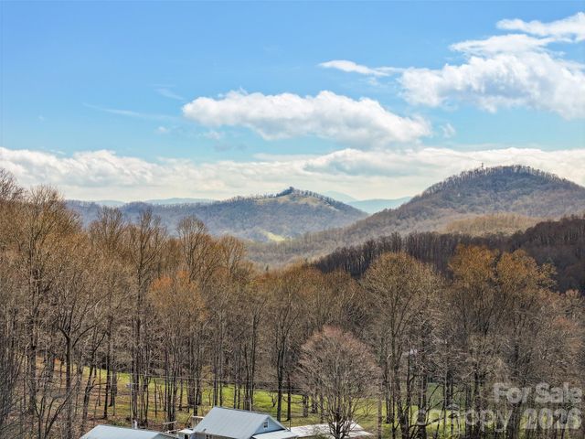 371 Ned Cove Road, Waynesville, NC 28785