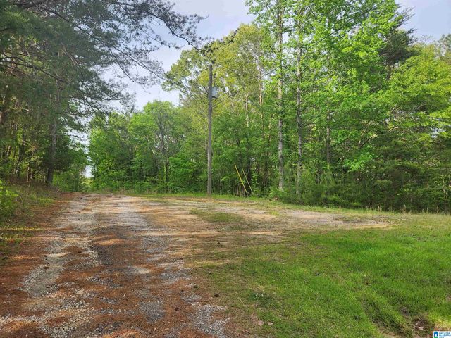 2213 MORRIS MAJESTIC ROAD, Morris, AL 35116