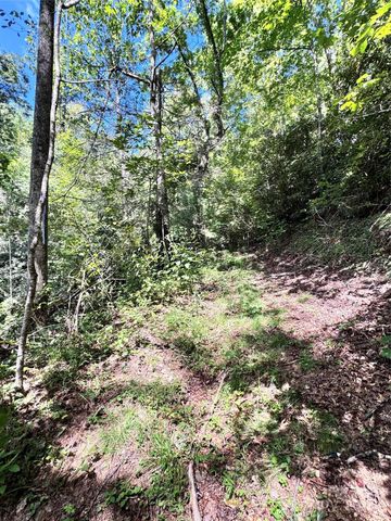 270 S Jarvis Drive, Hendersonville, NC 28792