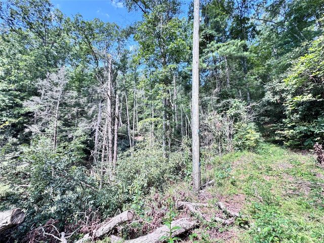 270 S Jarvis Drive, Hendersonville, NC 28792