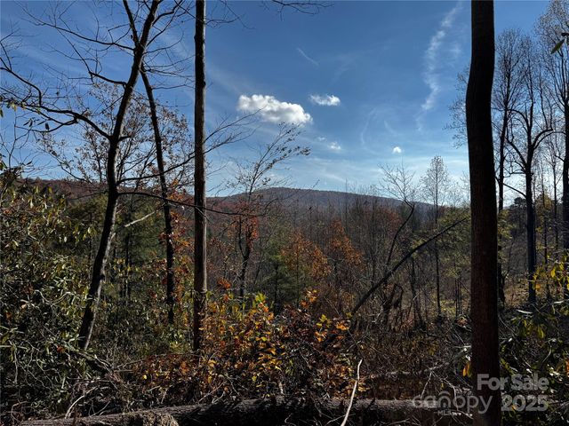 270 S Jarvis Drive, Hendersonville, NC 28792