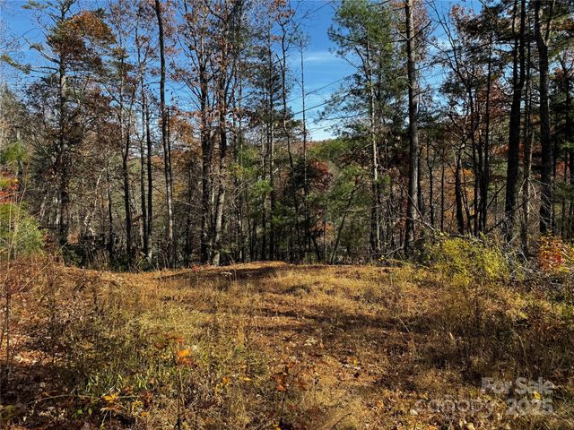 270 S Jarvis Drive, Hendersonville, NC 28792