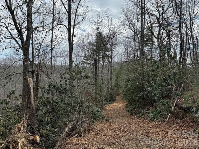 270 S Jarvis Drive, Hendersonville, NC 28792