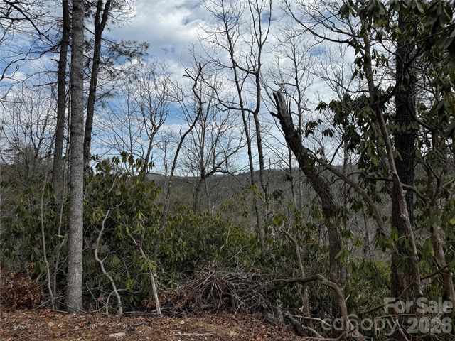 270 S Jarvis Drive, Hendersonville, NC 28792