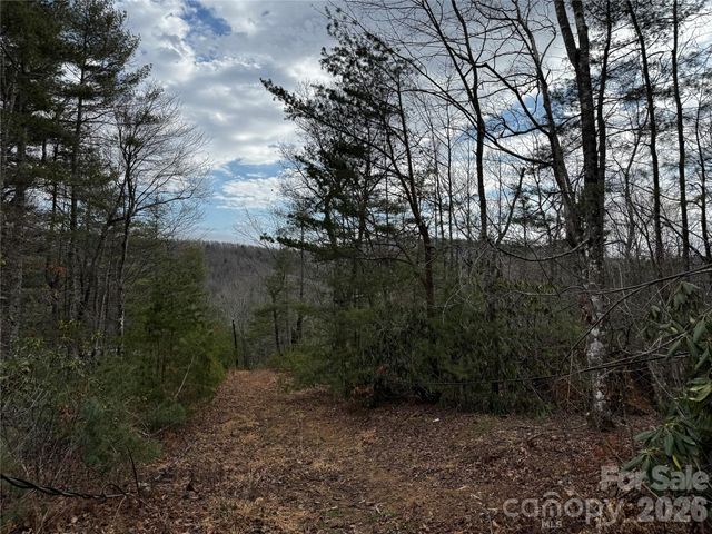 270 S Jarvis Drive, Hendersonville, NC 28792