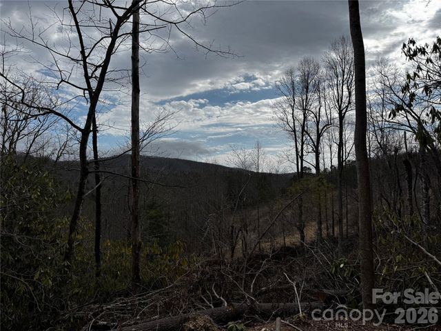 270 S Jarvis Drive, Hendersonville, NC 28792