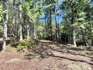 270 S Jarvis Drive, Hendersonville, NC 28792