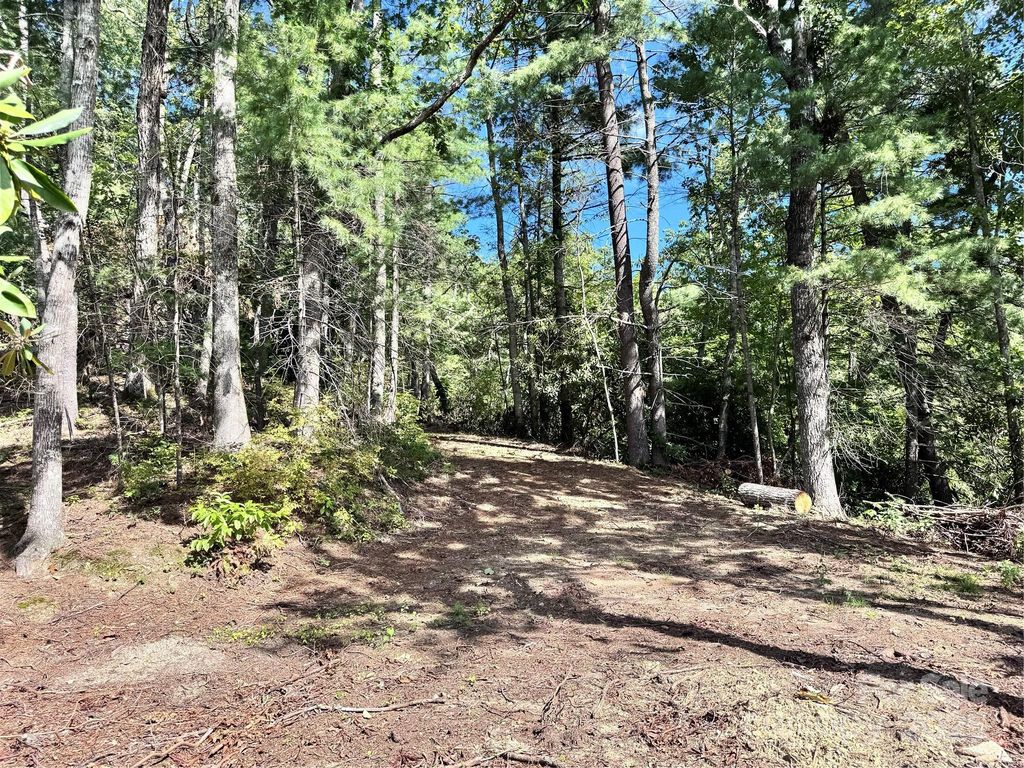 270 S Jarvis Drive, Hendersonville, NC 28792