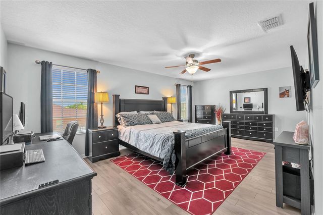 10902 RAINBOW PYRITE DRIVE, Wimauma, FL 33598