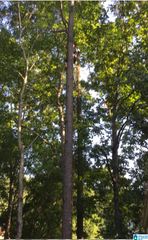 00 LAKEVIEW PT, Riverside, AL 35135