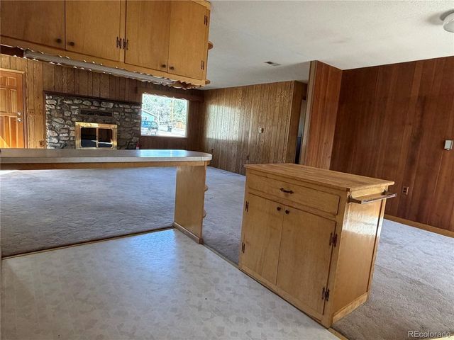 115 Hill St, Buena Vista, CO 81211